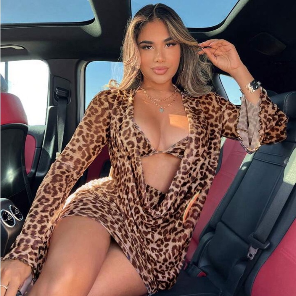 Leopard Print Long Sleeve Dress
